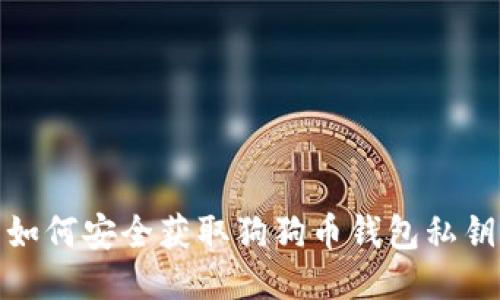 如何安全获取狗狗币钱包私钥