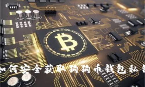 如何安全获取狗狗币钱包私钥