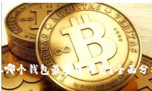 比特币存哪个钱包最安全可靠?全面分析与评测