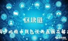 杂项同步比特币钱包慢的原因及解决方