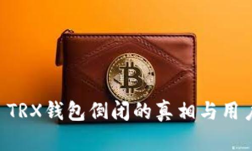 Token.im TRX钱包倒闭的真相与用户避雷指南