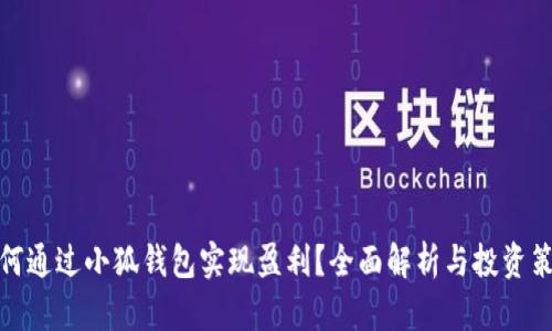 如何通过小狐钱包实现盈利？全面解析与投资策略