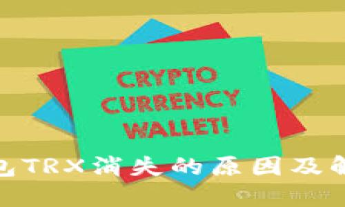 : 波场链钱包TRX消失的原因及解决方案详解