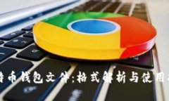 比特币钱包文件：格式解析与使用指南