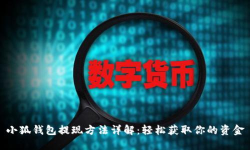 小狐钱包提现方法详解:轻松获取你的资金