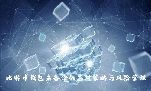 比特币钱包未备份的应对策略与风险管理
