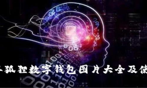 2023年狐狸数字钱包图片大全及使用指南