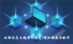 比特尔怎么提币到钱包：详细指南与技