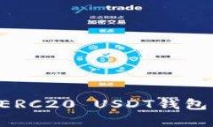如何选择合适的ERC20 USDT钱包：全面解