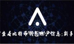 如何查看比特币钱包账户信息：新手指
