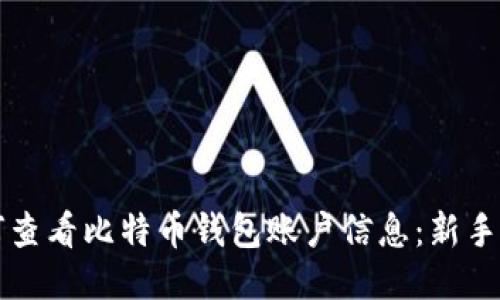 如何查看比特币钱包账户信息:新手指南