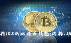 全面解析支持iOS的比特币钱包：选择、