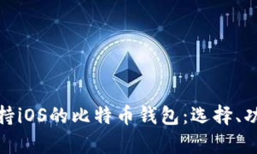全面解析支持iOS的比特币钱包:选择、功能与安全性