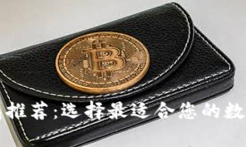 全球比特币钱包推荐:选择最适合您的数字货币储存方式
