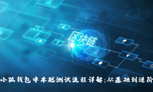 小狐钱包中本聪测试流程详解:从基础到进阶