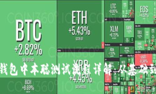 小狐钱包中本聪测试流程详解:从基础到进阶