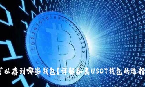 USDT可以存到哪些钱包?详解各类USDT钱包的选择与使用