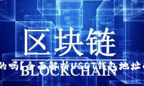 USDT钱包地址是固定的吗?全面解析USDT钱包地址的特性与使用注意事项