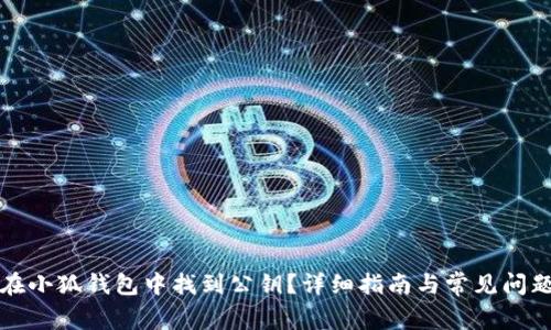 如何在小狐钱包中找到公钥?详细指南与常见问题解答