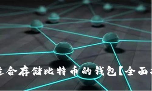 如何选择适合存储比特币的钱包?全面指南与推荐