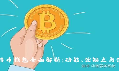 三大比特币钱包全面解析:功能、优缺点与使用指南