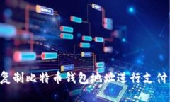 如何安全复制比特币钱包地址进行支付