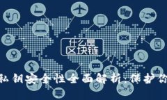 MetaMask私钥安全性全面解析：保护你的
