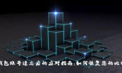 比特币钱包账号遗忘后的应对指南：如