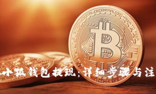 如何从小狐钱包提现：详细步骤与注意事项