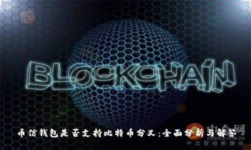 币信钱包是否支持比特币分叉：全面分析与解答