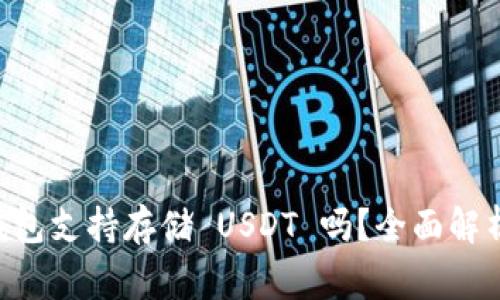: Ledger 钱包支持存储 USDT 吗？全面解析及使用指南