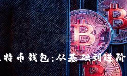 如何挖掘比特币钱包：从基础到进阶的全面指南