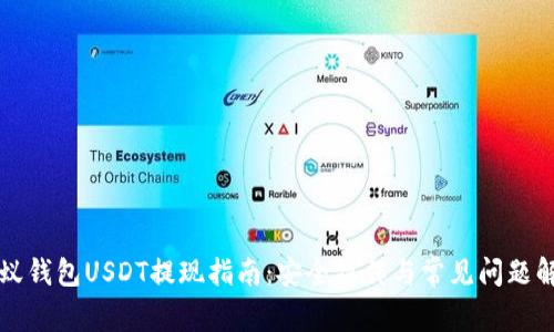 蚂蚁钱包USDT提现指南：安全操作与常见问题解析