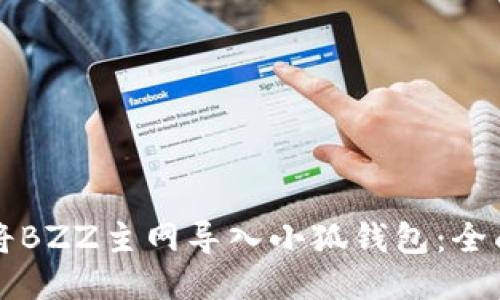 如何将BZZ主网导入小狐钱包:全面指南