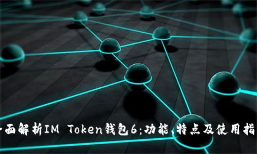 全面解析IM Token钱包6：功能、特点及使用指南