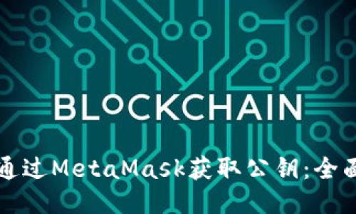 如何通过MetaMask获取公钥:全面指南