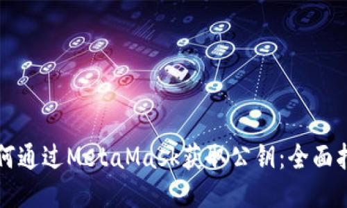 如何通过MetaMask获取公钥:全面指南
