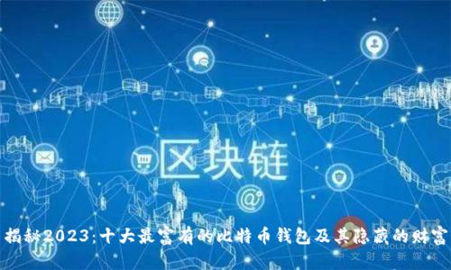 揭秘2023:十大最富有的比特币钱包及其隐藏的财富