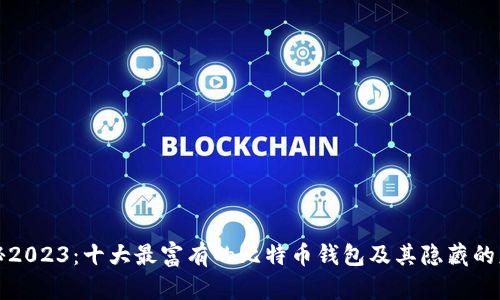 揭秘2023:十大最富有的比特币钱包及其隐藏的财富