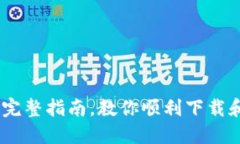 riaoti从零开始：完整指南，教你顺利下