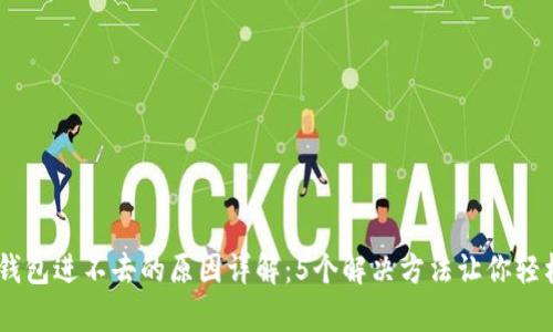 bioqi小狐钱包进不去的原因详解:5个解决方法让你轻松找到入口