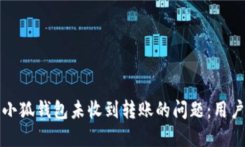 如何解决小狐钱包未收到转账的问题：用户实用指南