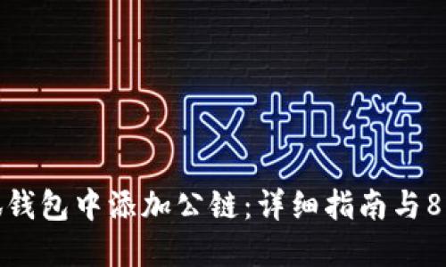 如何在小狐钱包中添加公链:详细指南与8个实用步骤