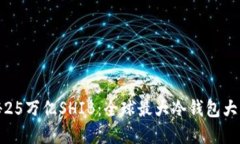 揭秘25万亿SHIB：全球最大冷钱包大解密