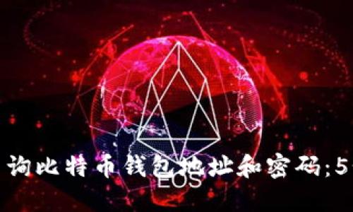 如何轻松查询比特币钱包地址和密码：5个实用步骤