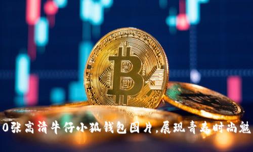 10张高清牛仔小狐钱包图片,展现青春时尚魅力