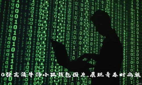 10张高清牛仔小狐钱包图片,展现青春时尚魅力
