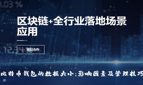比特币钱包的数据大小：影响因素及管理技巧