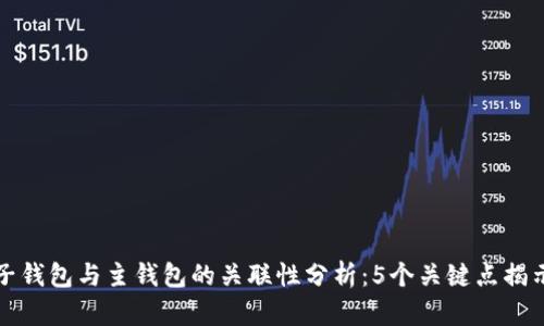 小狐子钱包与主钱包的关联性分析:5个关键点揭示真相