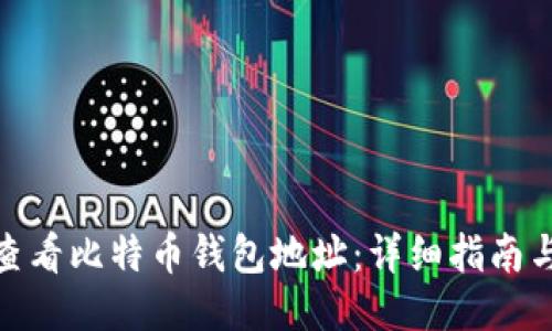 如何查看比特币钱包地址:详细指南与步骤